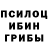 Галлюциногенные грибы Cubensis Oksy Bondarenko