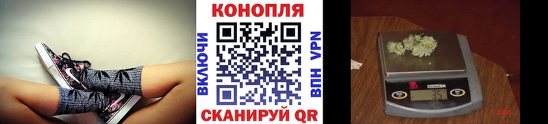 Конопля OG Kush  Курлово 
